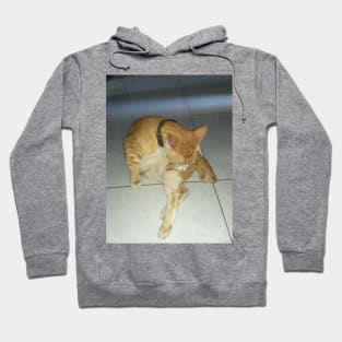 morning cat shower Hoodie